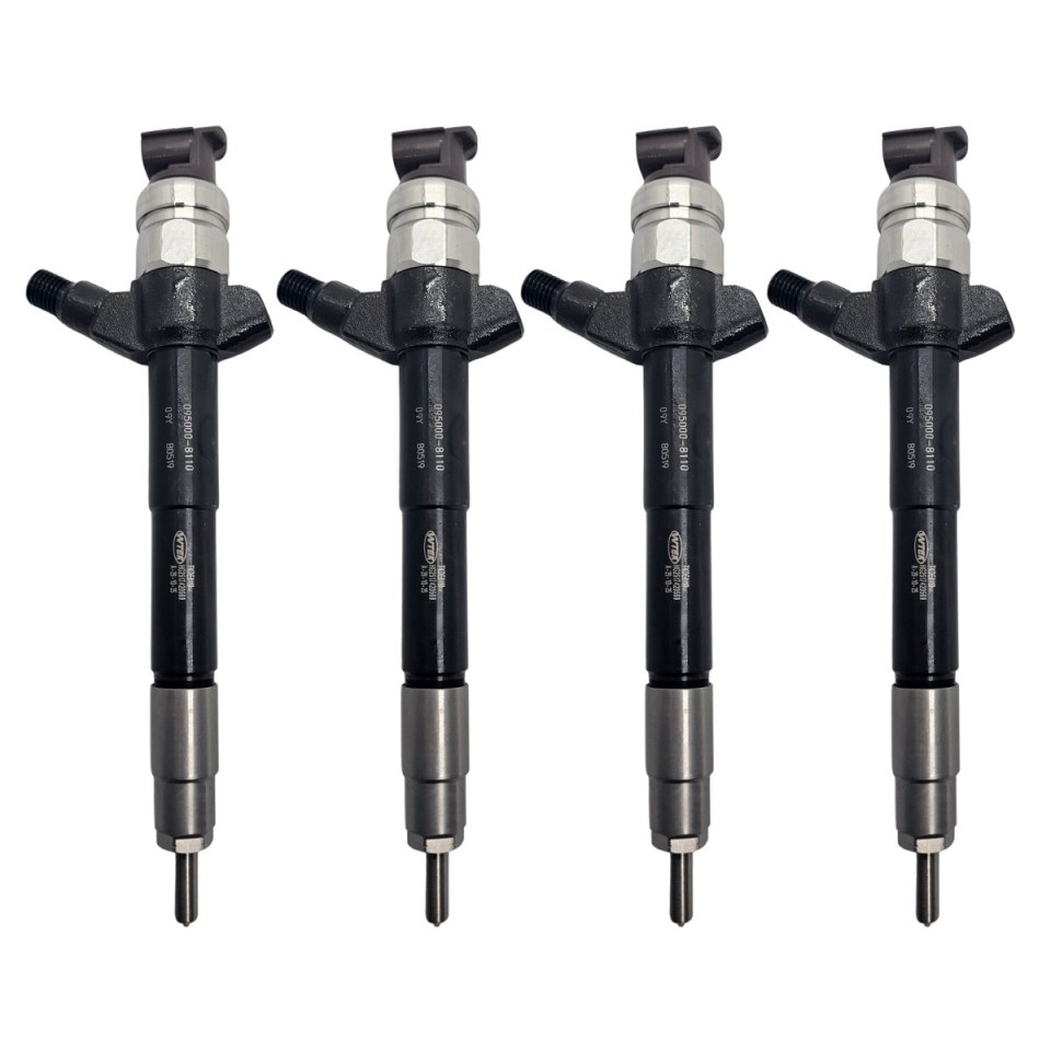 KIT REPARO DO INJETOR 095000-8110