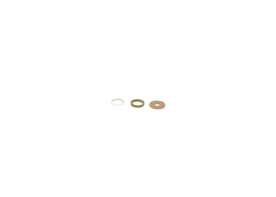REPARO COMMON RAIL F00VC99002 - GP
